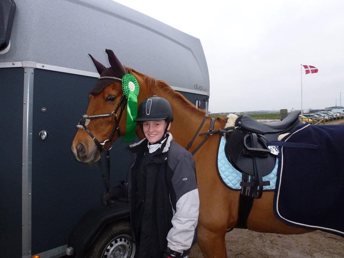 Anden særlig race Casmir billede 7