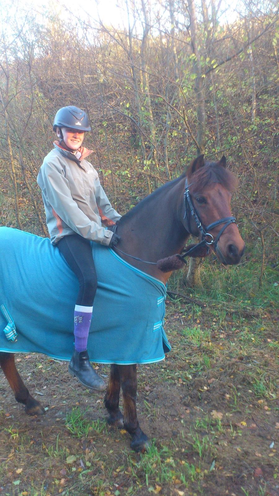 Anden særlig race Thanehøjs Mads billede 2