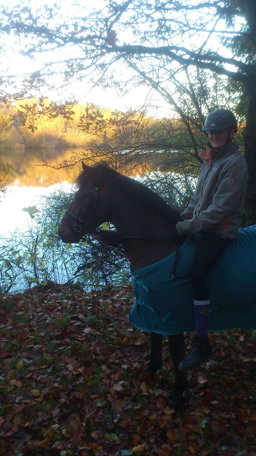 Anden særlig race Thanehøjs Mads billede 3