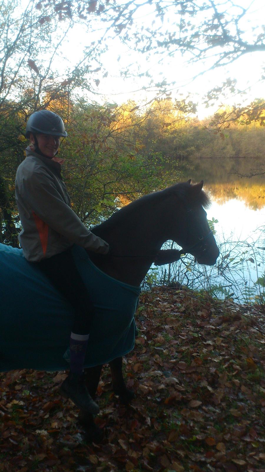 Anden særlig race Thanehøjs Mads billede 6