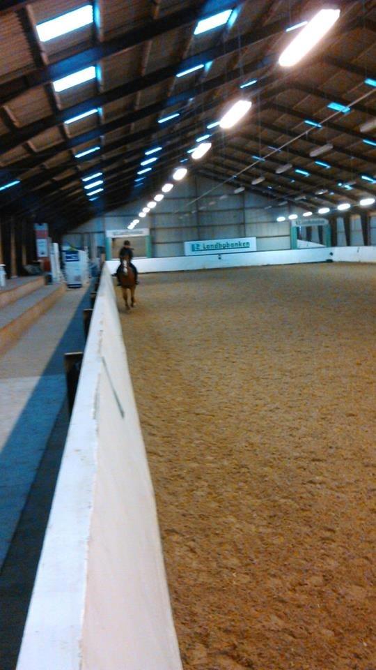 Anden særlig race Lions - 25/1-14<3 Til part! En dejlig galop tur! <3  :D Billed taget a Far! <3 :D billede 17