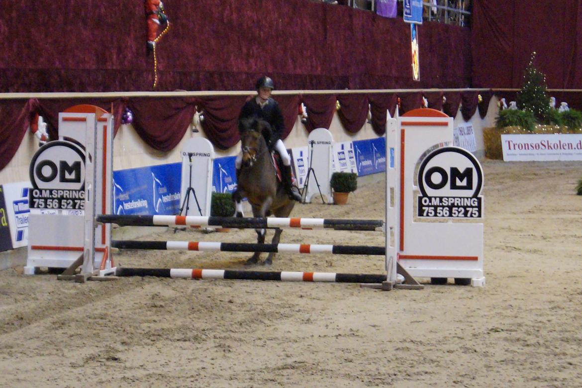 Anden særlig race Thanehøjs Mads billede 26