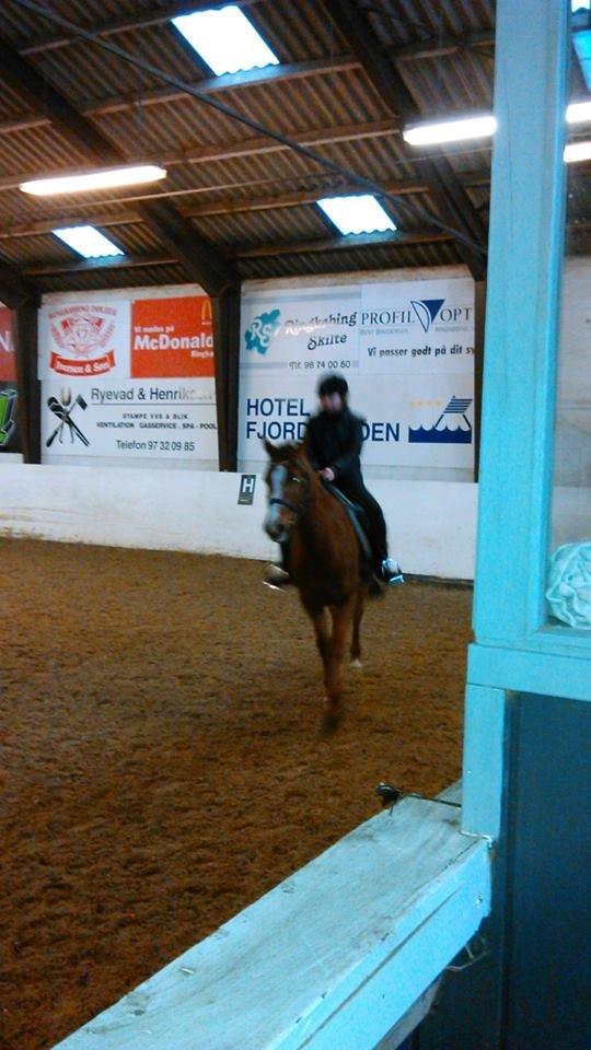 Anden særlig race Lions - 25/1-14<3 Til part! :D Billed taget a Far! <3 :D billede 19