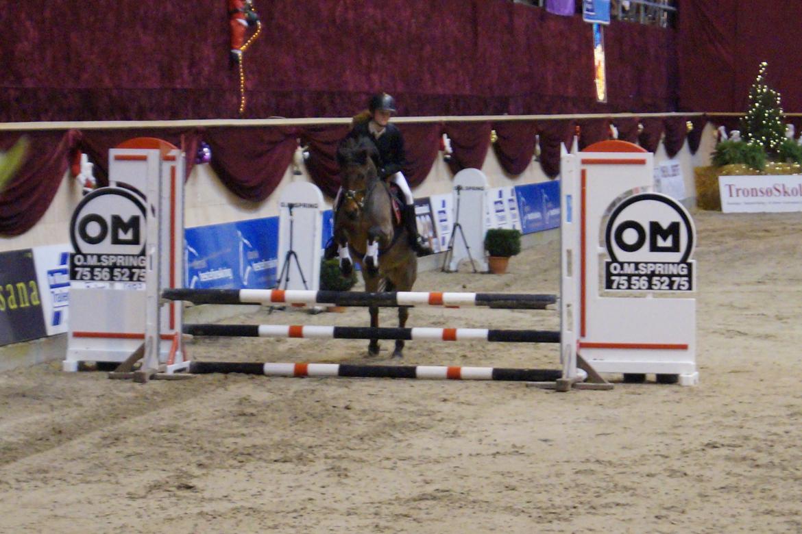 Anden særlig race Thanehøjs Mads billede 5