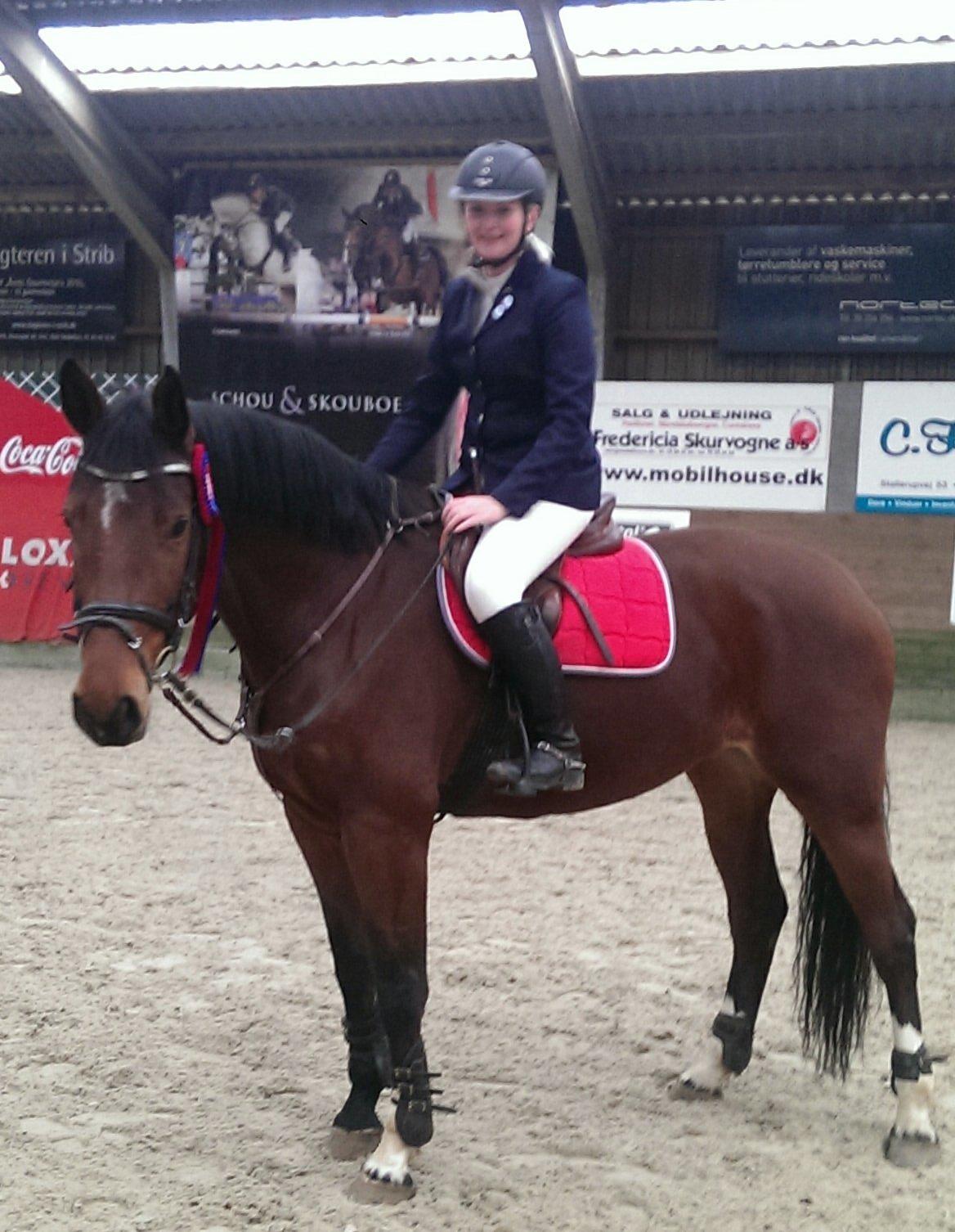Dansk Varmblod Kronborgdiges Flika. ( låne hest) billede 19