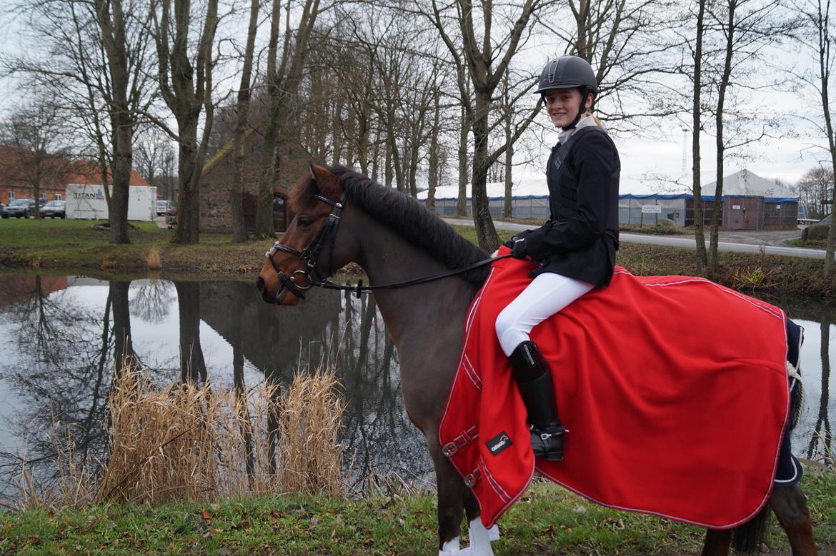 Anden særlig race Thanehøjs Mads billede 28