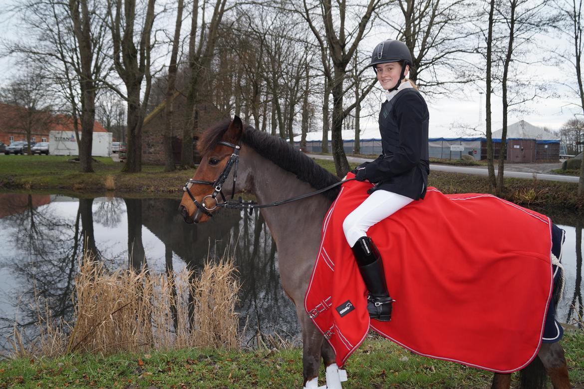 Anden særlig race Thanehøjs Mads billede 29
