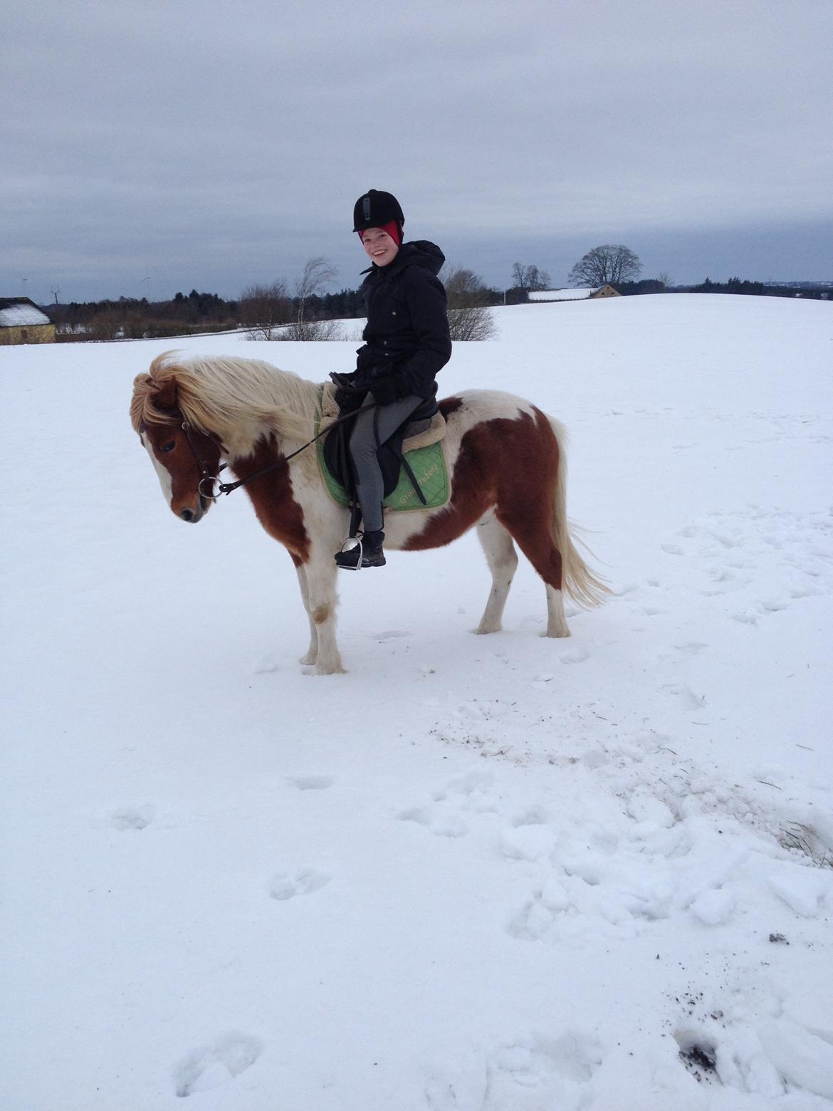 Anden særlig race Grøn Tuborg - Mig og Tubsen i sneen! billede 1