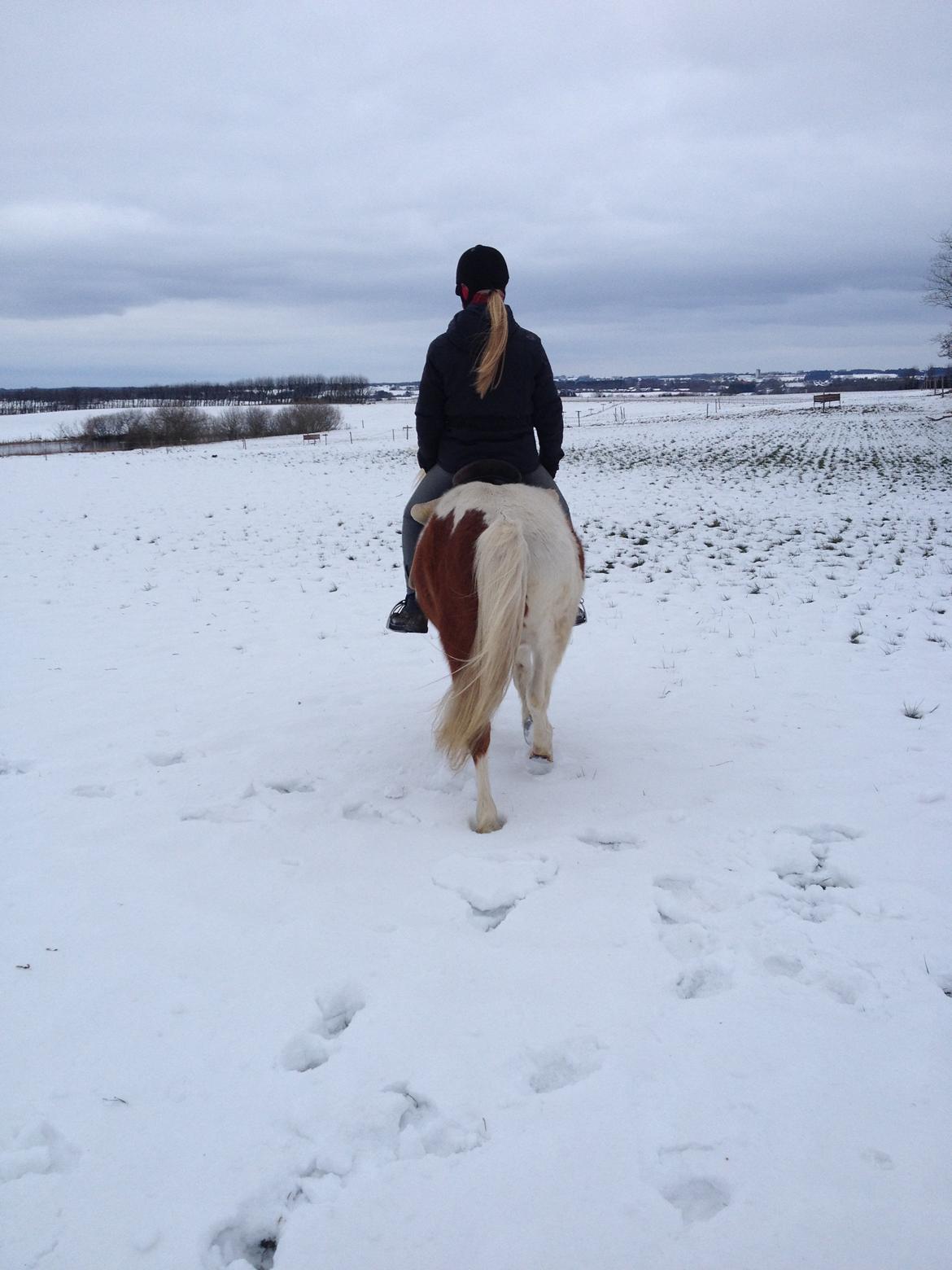 Anden særlig race Grøn Tuborg - Det var alt fra mig og Tubsen <3 billede 18