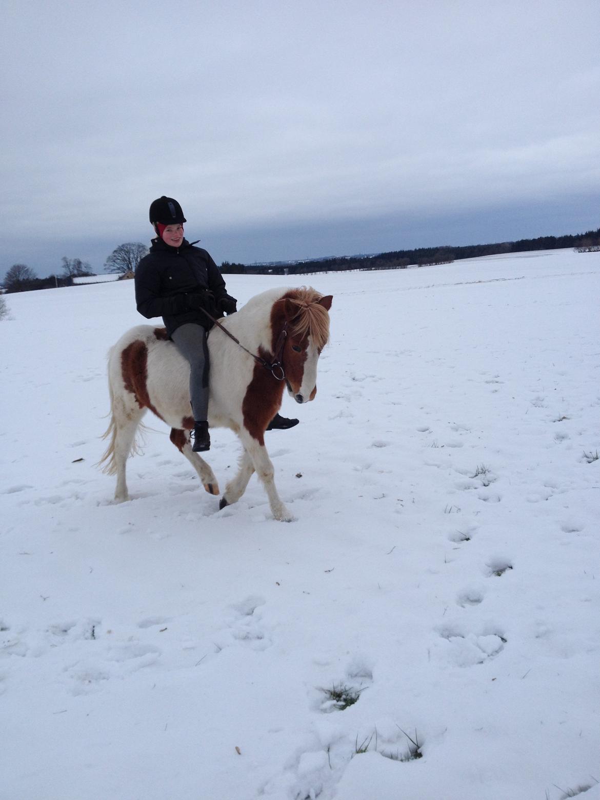 Anden særlig race Grøn Tuborg billede 9