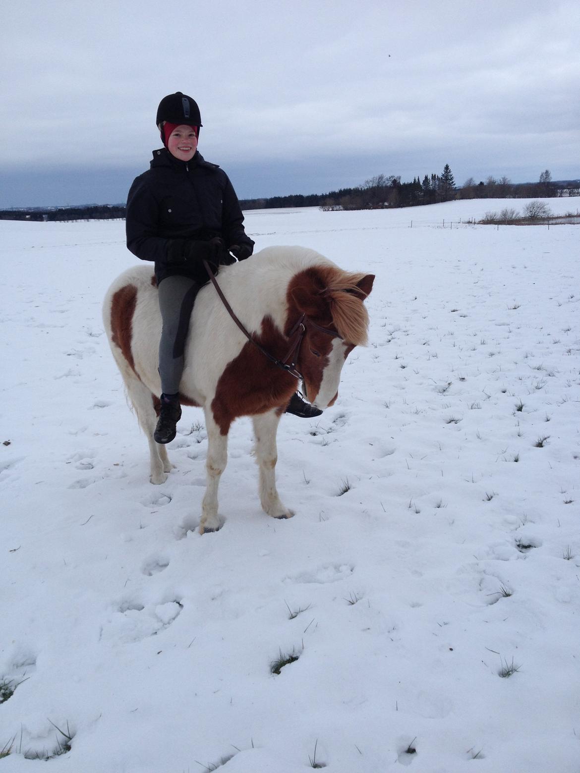 Anden særlig race Grøn Tuborg billede 10