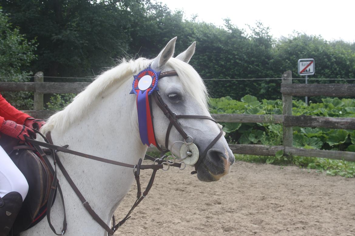 Anden særlig race Maicha - Sommer 2013 billede 11