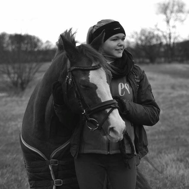 New Forest Tosca  billede 5