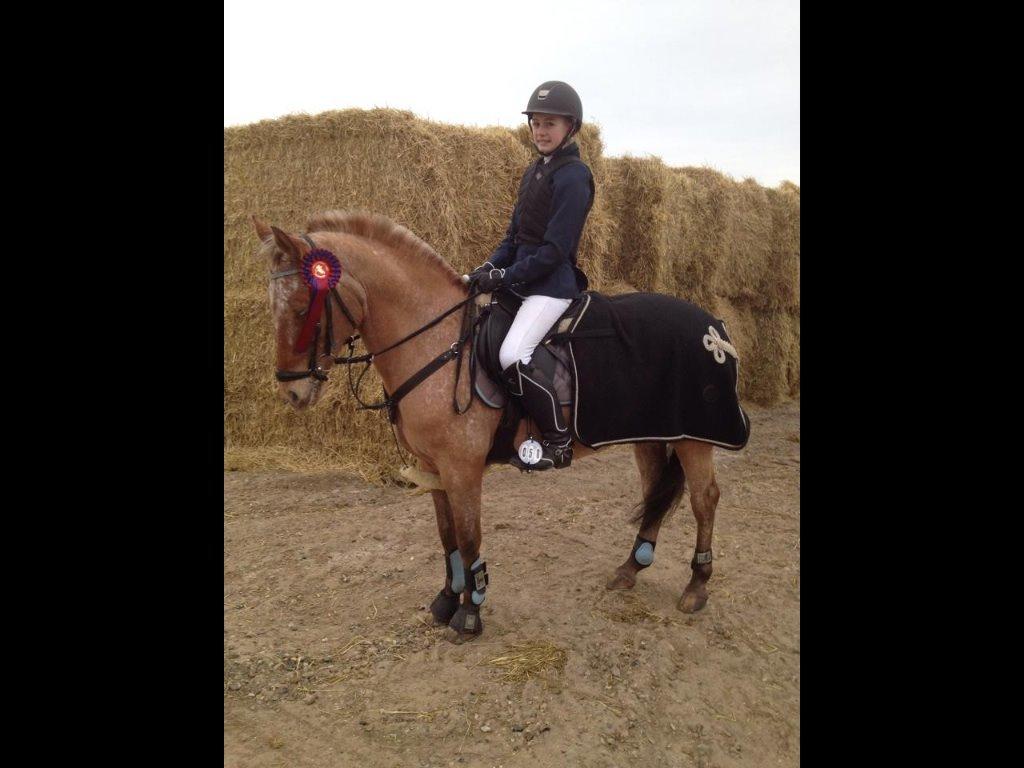 Knabstrupper Skovgårdens Rollo<3 billede 12