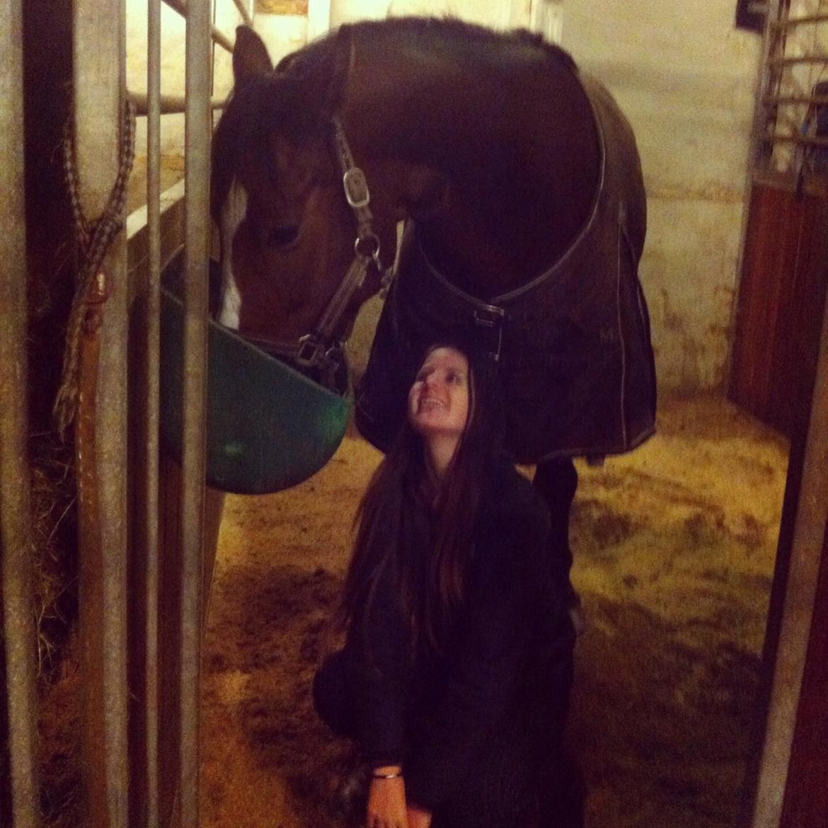 Holstener Hegngaards Quark billede 3