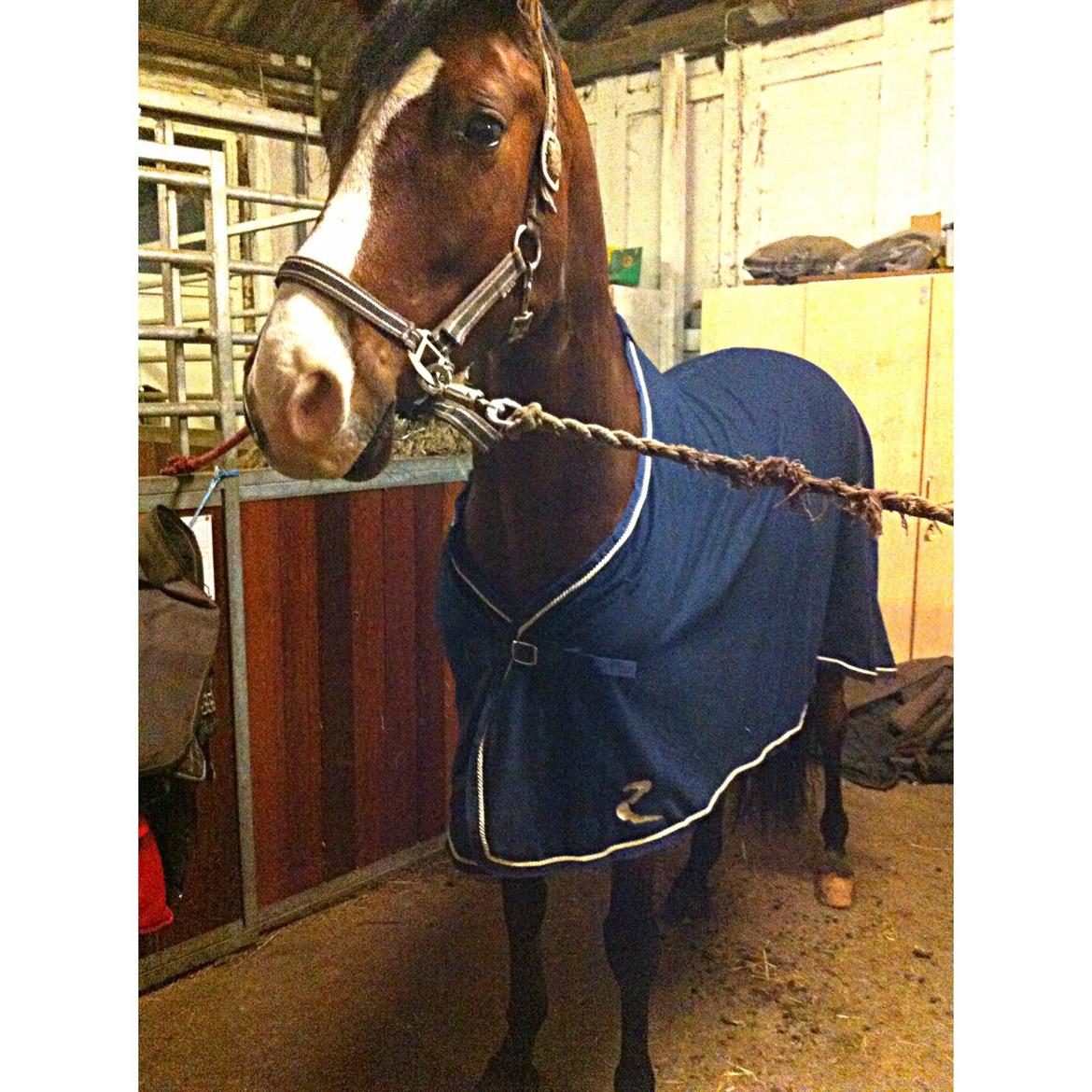 Holstener Hegngaards Quark billede 1