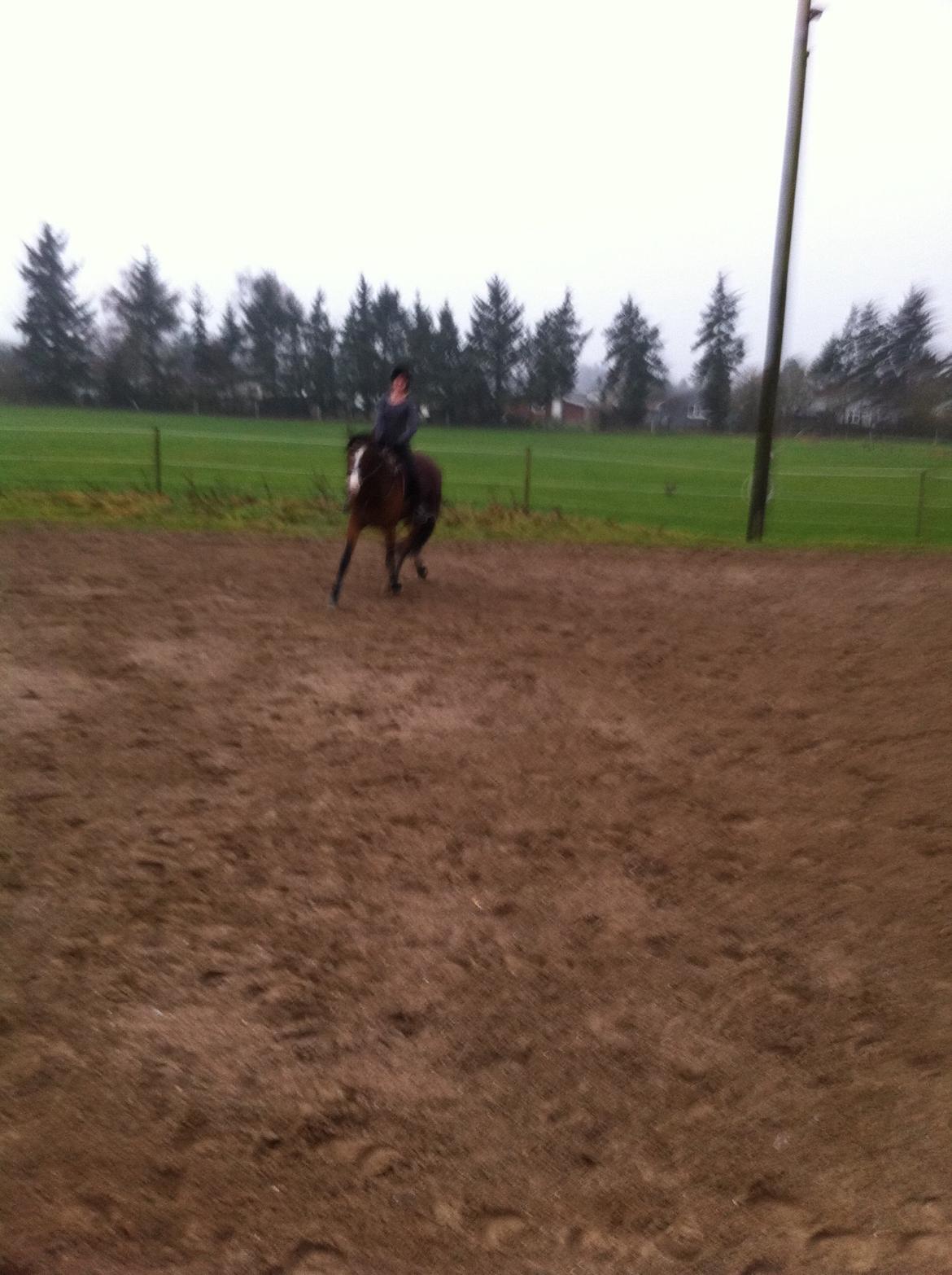 Holstener Hegngaards Quark billede 7