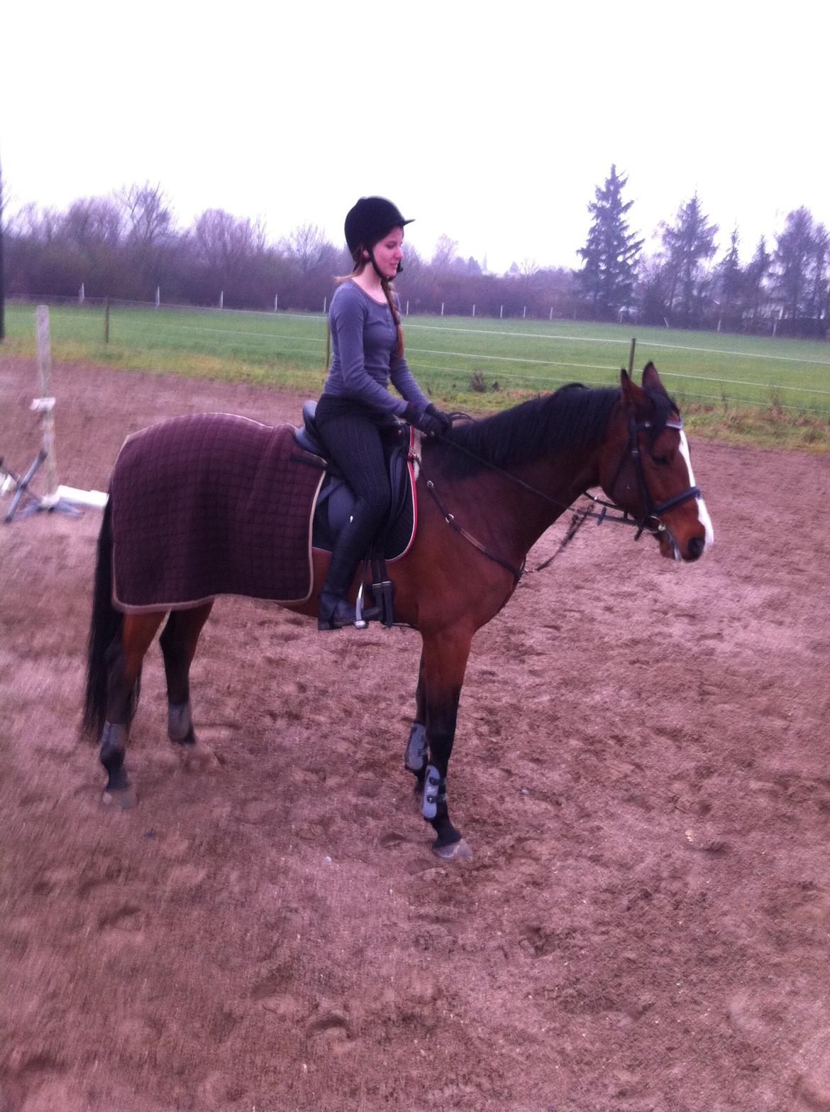 Holstener Hegngaards Quark billede 8