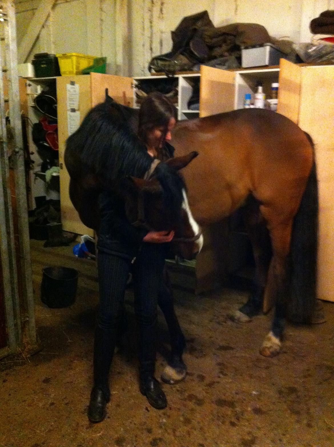 Holstener Hegngaards Quark billede 9