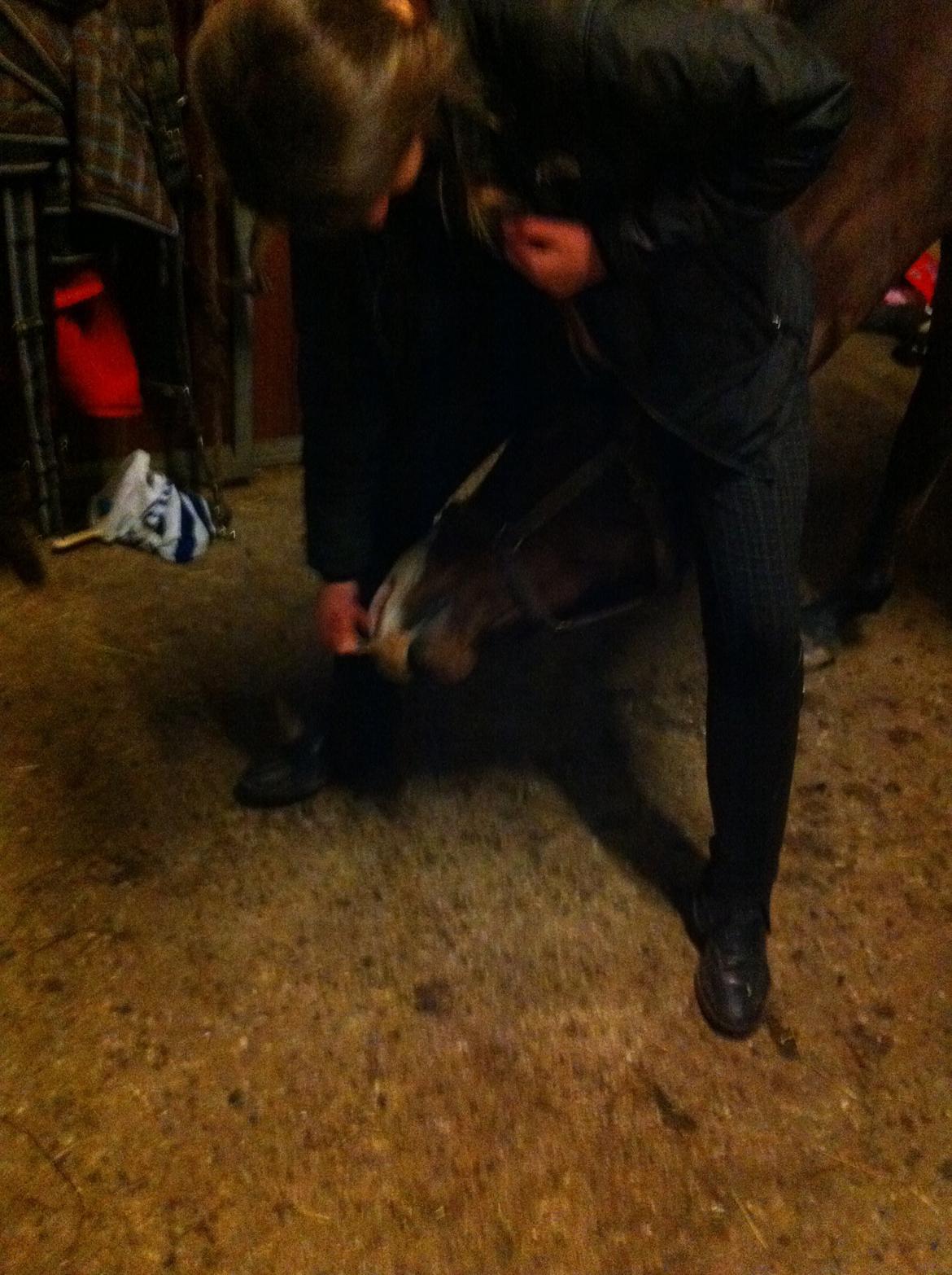 Holstener Hegngaards Quark billede 10