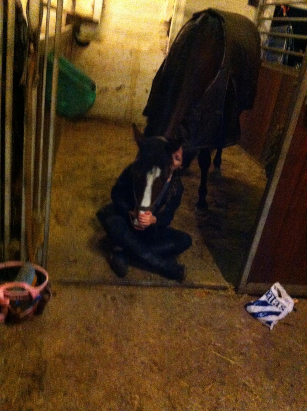 Holstener Hegngaards Quark billede 16