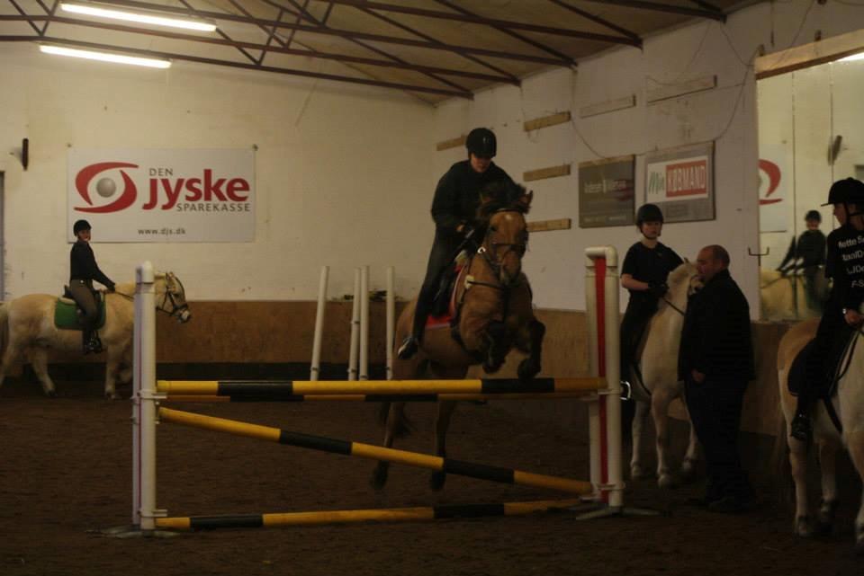 Anden særlig race Baunehøjgaards Ros- a-li - Til højtespringning på Birken. 
Her over 1,05 (y) billede 18