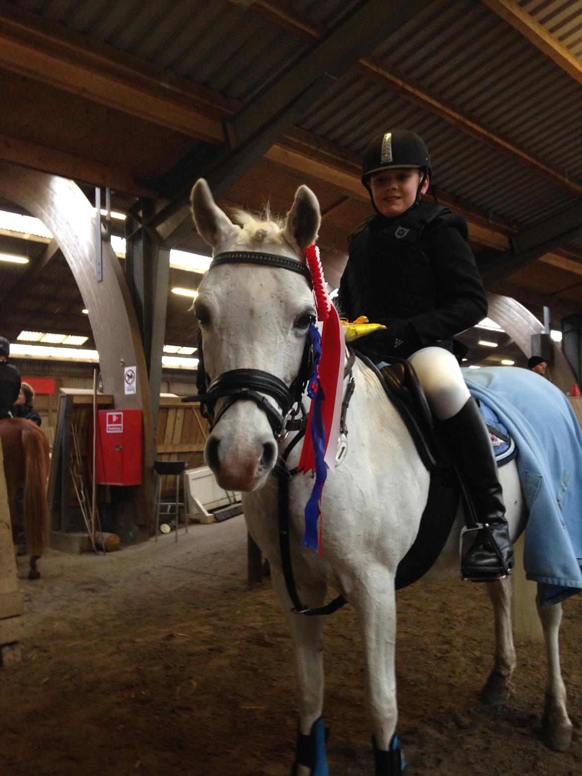Welsh Pony (sec B) †Marmaja flika R.I.P† - Flika med Jacob billede 2