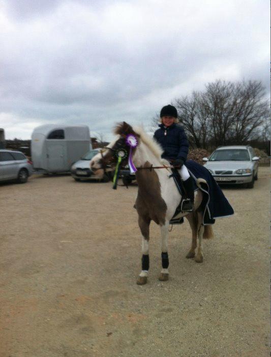 Anden særlig race Dyrekærgårds Indian Bahari billede 14