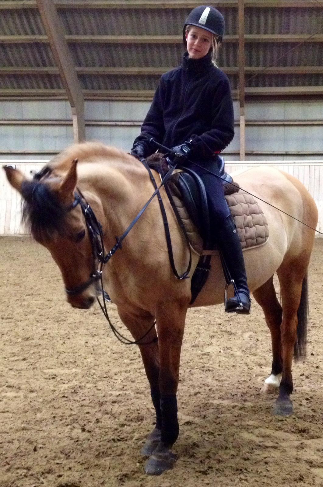 Anden særlig race Labina Suprise billede 1