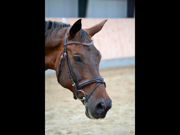 Holstener Jarl - Flotte dreng. billede 7