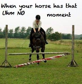 Fuldblod (XX) Trinity - Efteråret 2012 billede 4