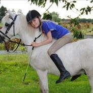 Anden særlig race TM's Silver Dream