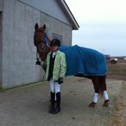 Anden særlig race Lundgaardens Chivas Regall