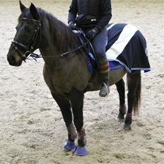 Anden særlig race Skonhøjs Mondi | Savnet så forfærdelig meget! :'( 