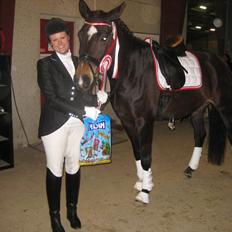 Dansk Varmblod Miss Light