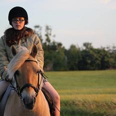 Anden særlig race Tøsen (-:.