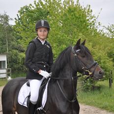 Tysk Sportspony Naranjo [Har redet]