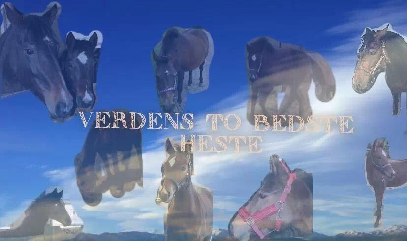 Anden særlig race Spyro billede 13