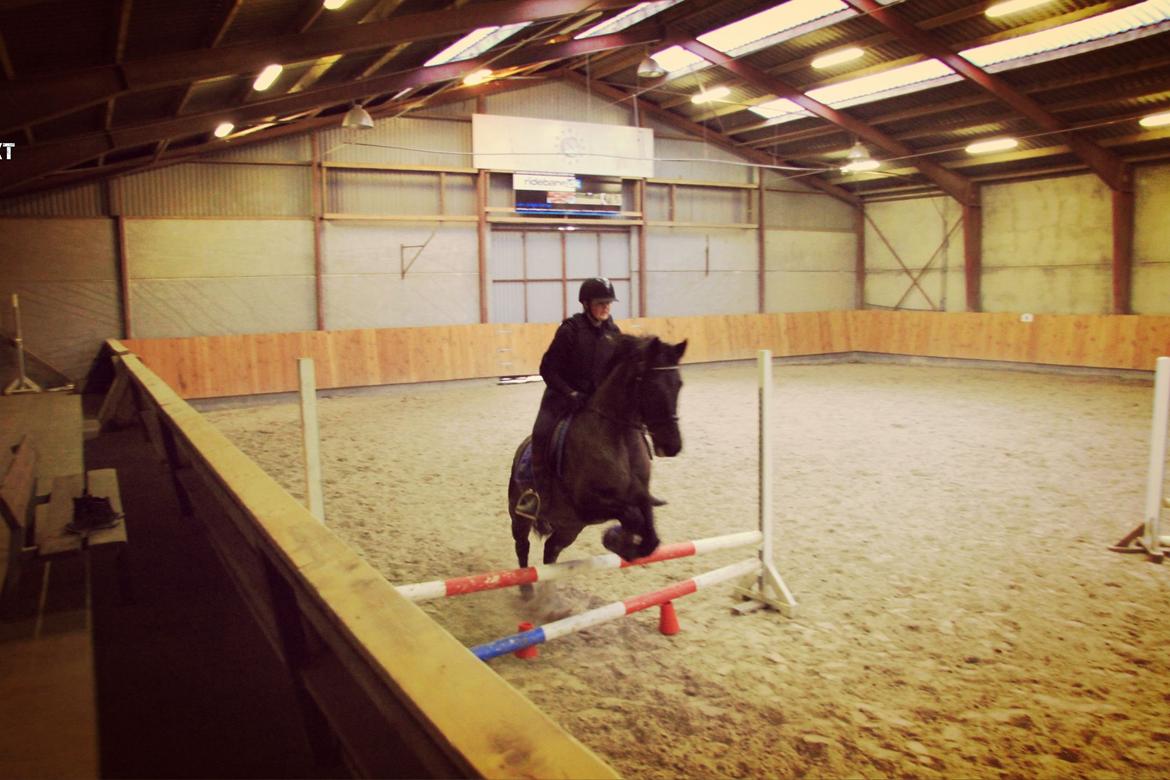 Anden særlig race Skonhøjs Mondi | Savnet så forfærdelig meget! :'(  - Mondi og jeg der springer lodret :) billede 5