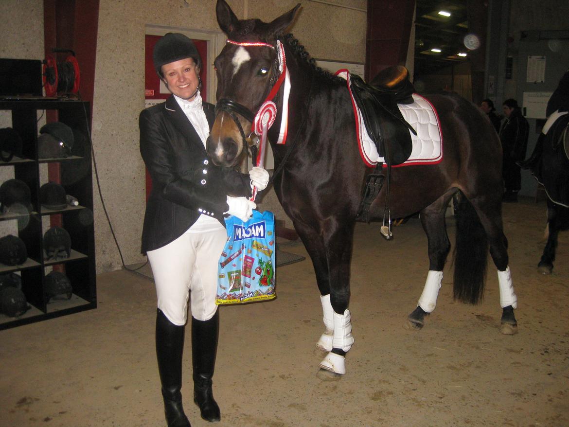 Dansk Varmblod Miss Light billede 2