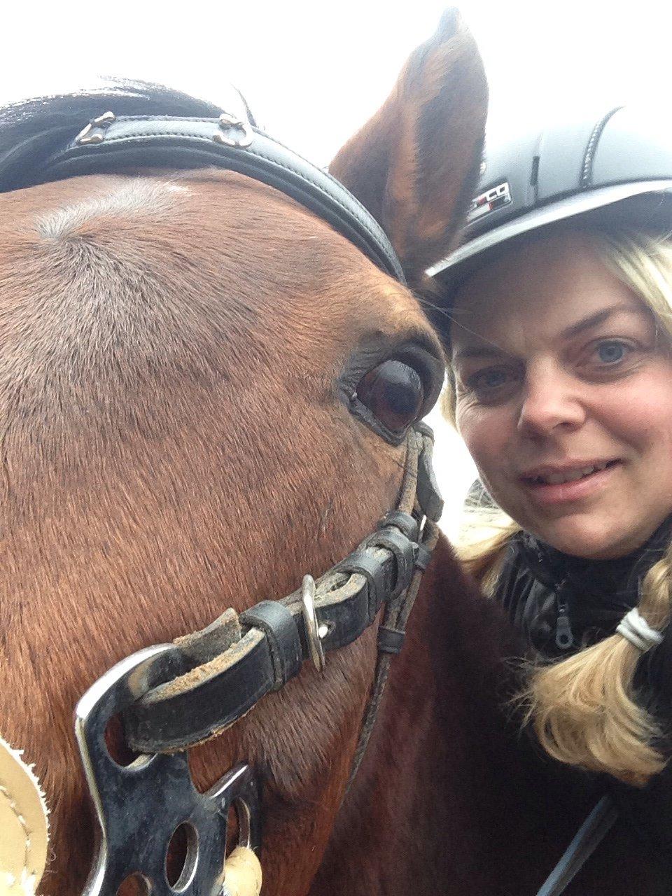 Anden særlig race Cosmo billede 6