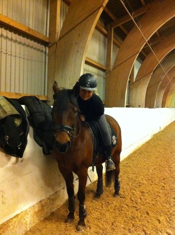 Anden særlig race Cosmo billede 7