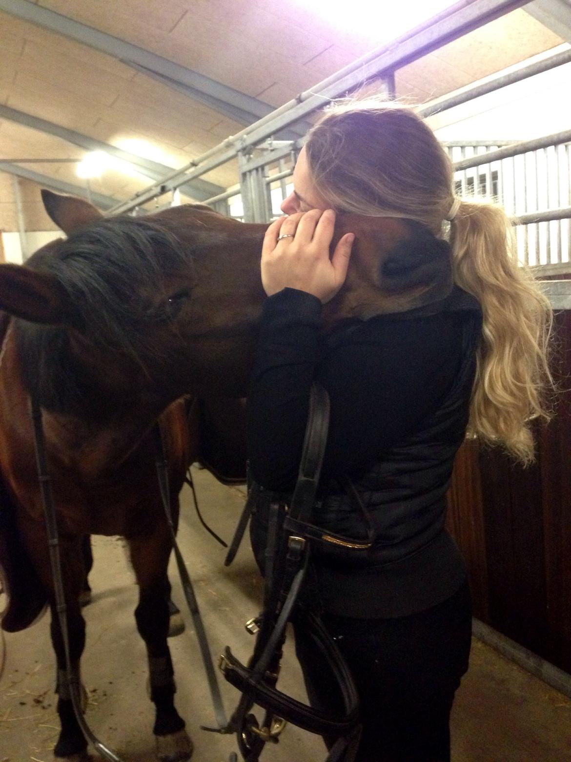 Anden særlig race Cosmo billede 8