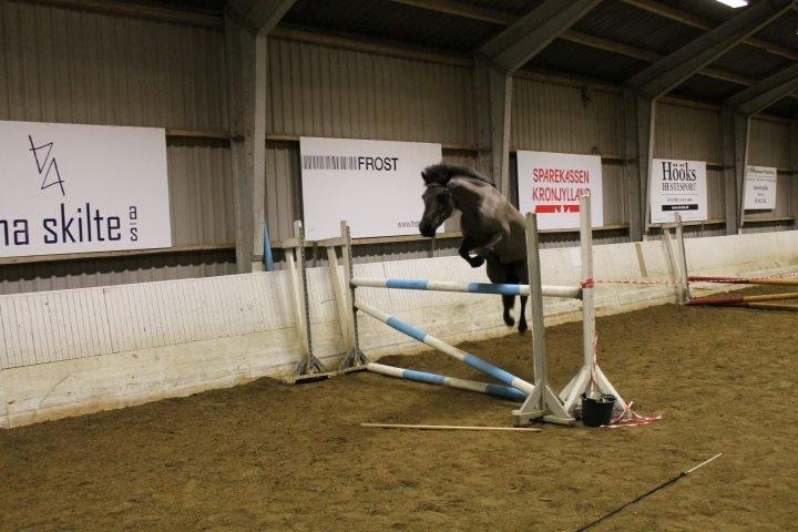 Anden særlig race spirit billede 8