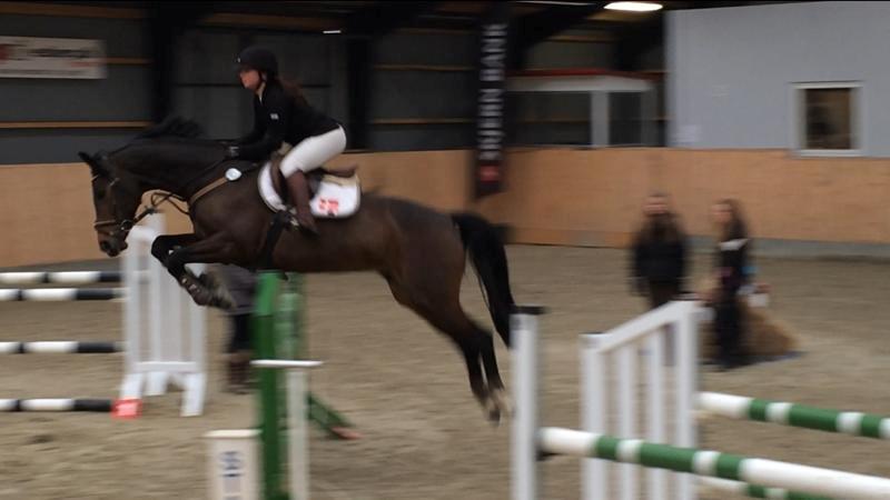 Dansk Varmblod Rødhøjs Felicia - 120 cm. i Esbjerg, Januar 2014 - 3. plads billede 1