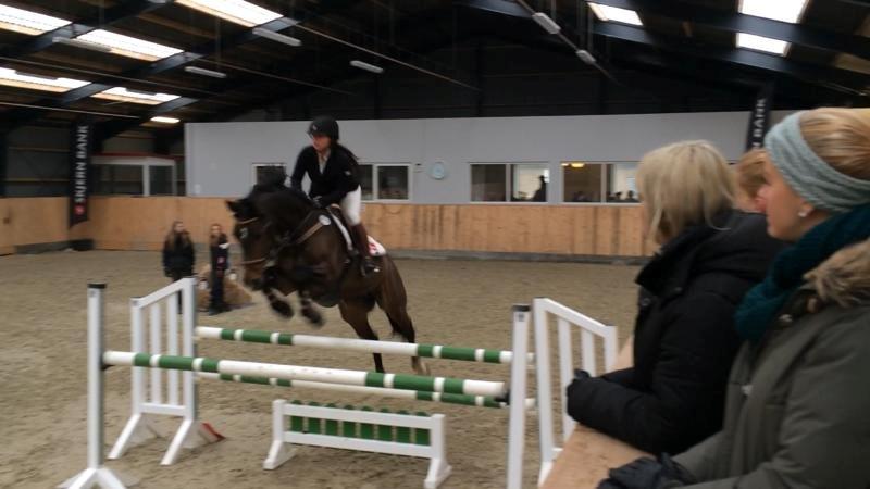 Dansk Varmblod Rødhøjs Felicia - LA i Esbjerg billede 2