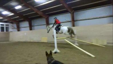 Connemara Hedegårdens Junker - Undskyld det lidt dårlig billede det er taget fra en video, men jeg måtte bare have det ind. Det er af mig og Junker der springer 1 meter :-) Så stolt! billede 3