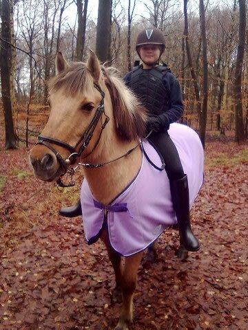 Anden særlig race Chila billede 3