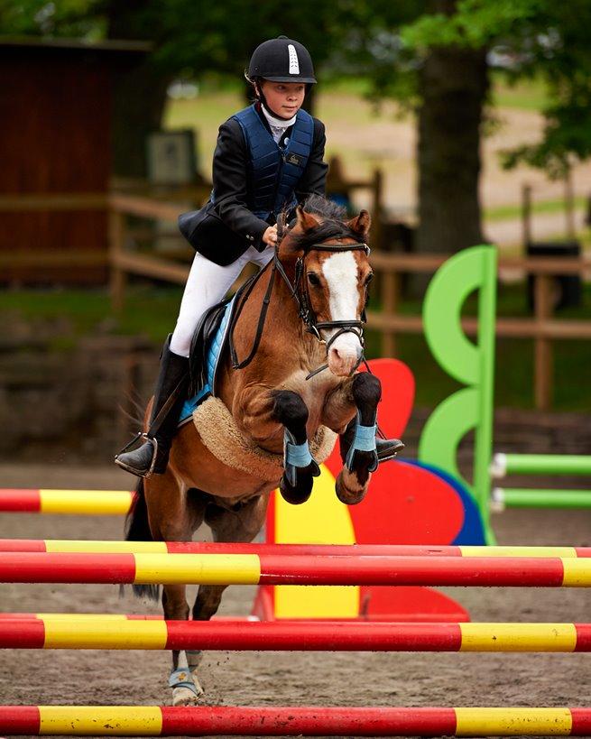 Welsh Pony (sec B) Lyngvejens Divas billede 6