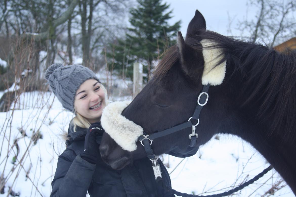 New Forest Angels Ditch Ana Rosa - vinteren 2014 billede 16